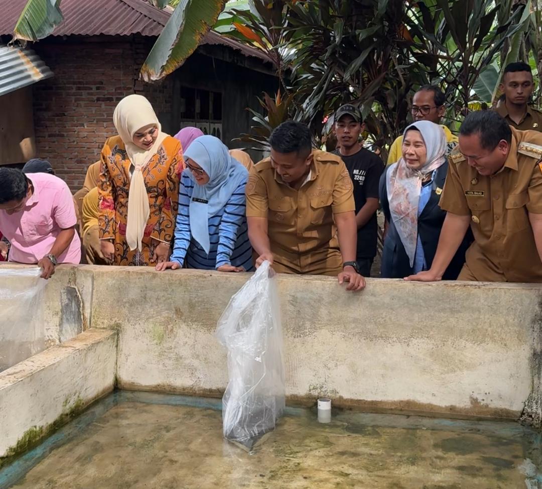 28 Dorong Ekonomi Lokal, Wagub Sumbar Serahkan Induk Unggul Lele kepada Pembudidaya di Pariaman