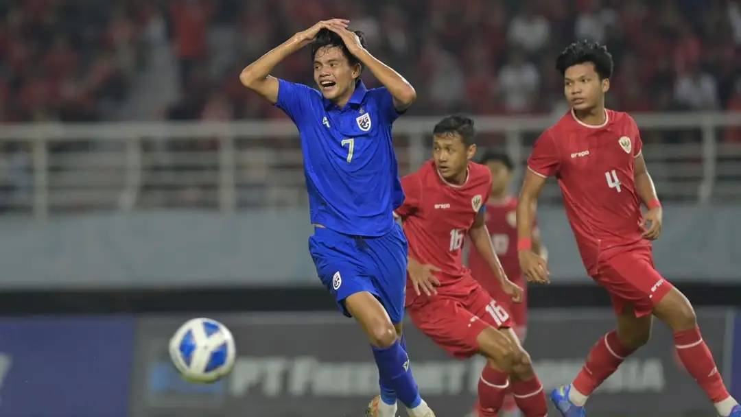 28 Timnas Indonesia