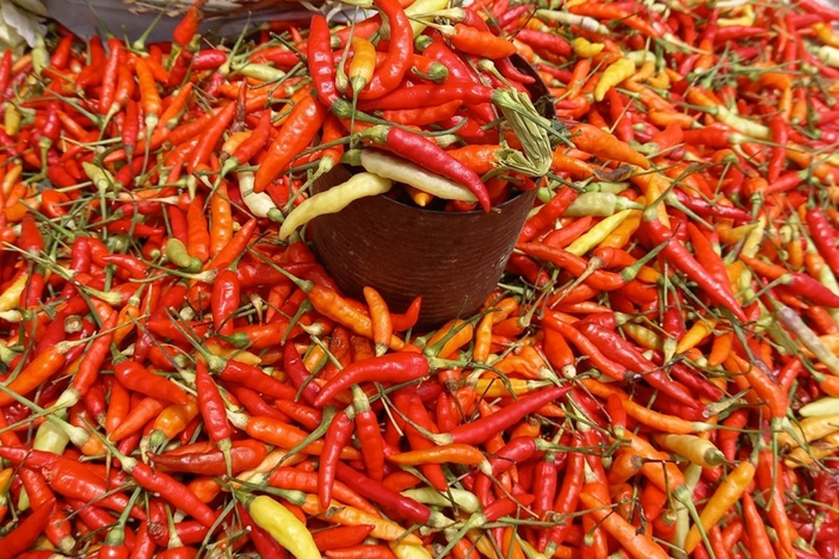 28 Badan Pangan Nasional (Bapanas) mencatat harga cabai rawit merah turun menjadi Rp44.652 per kilogram (kg) dari sebelumnya Rp45.745 per kg, begitu pun bawang merah Rp38.408 per kg turun dari sebelumnya Rp38.539 per kg.
