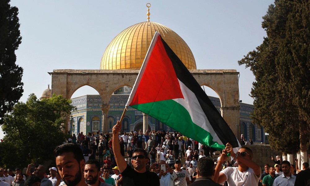 28 Palestina