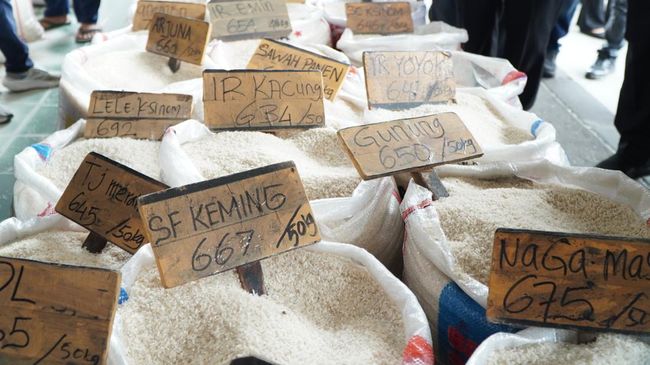 28 Mendagri Nilai Pengendalian Harga Beras Berjalan Baik