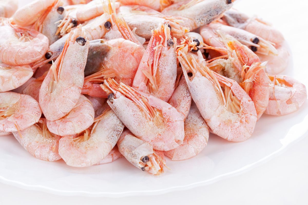 28 Udang